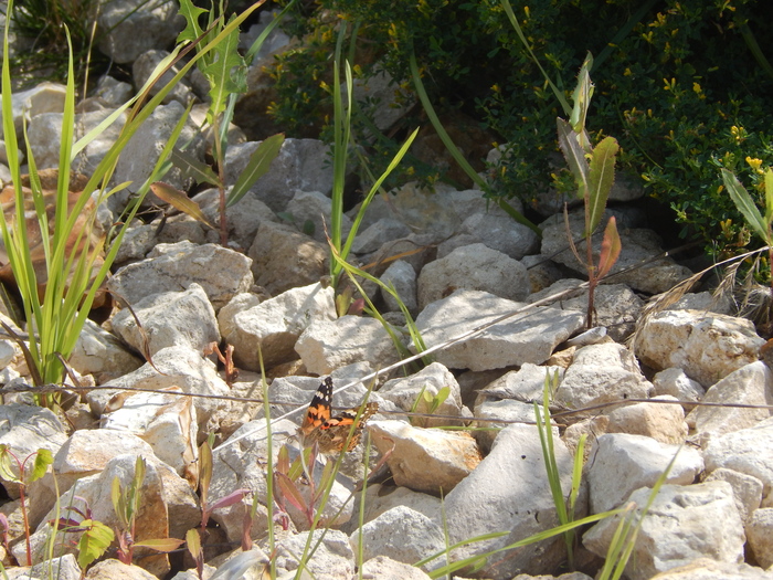 ���������. ��������� ���������. ���������� ���, �������� �������� ��������� ����� ��� ������� ������ � �������.