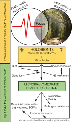 Ты и я - микробы?? Это не ИИ, просто перевод части статьи учёных. Не британских)