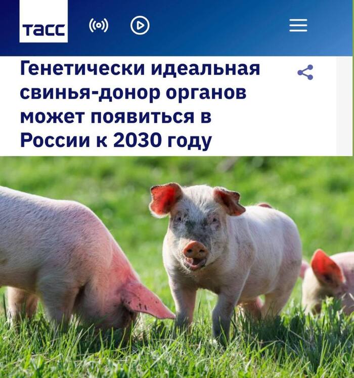 ������? !))