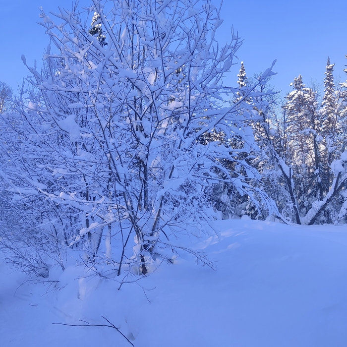 �� ���������� �������...