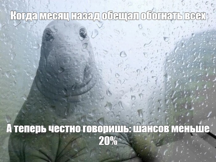 �������� vs �������: ��������� �� �������� �������