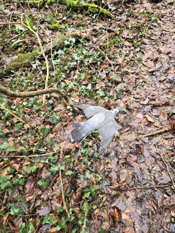 ����: ����� �������� � �������� �� �������� �����