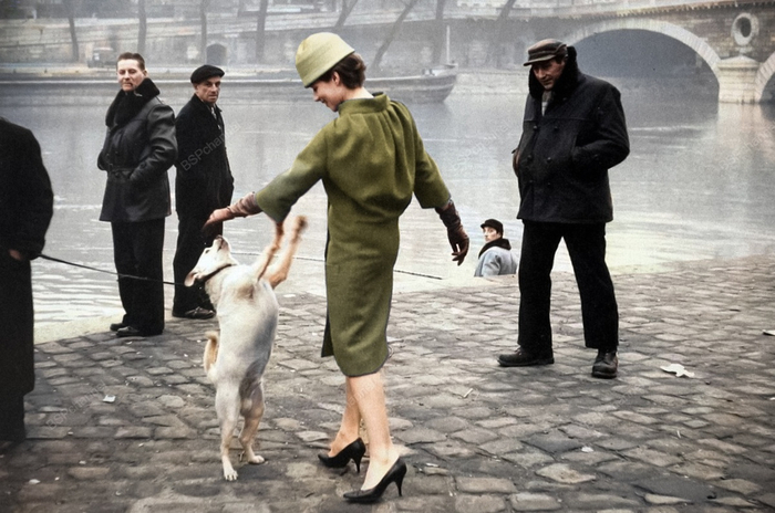 ��������: ������� ������