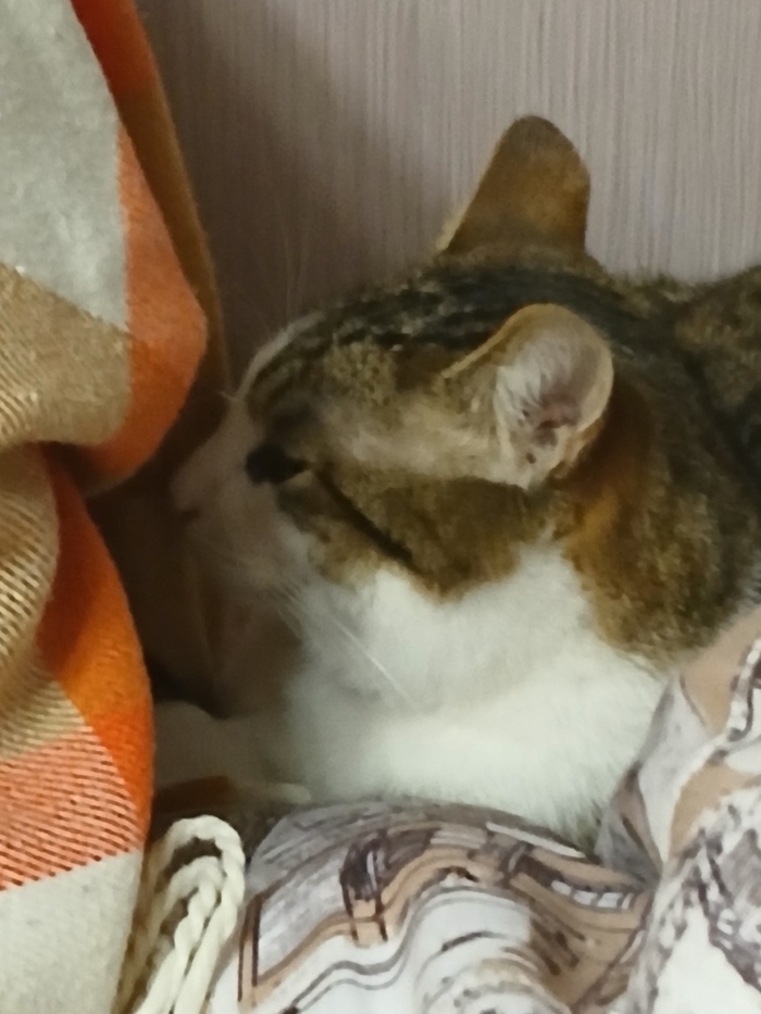 �� ����, ��������, �� ���� �� �� ������� �� ���� ������ �����?