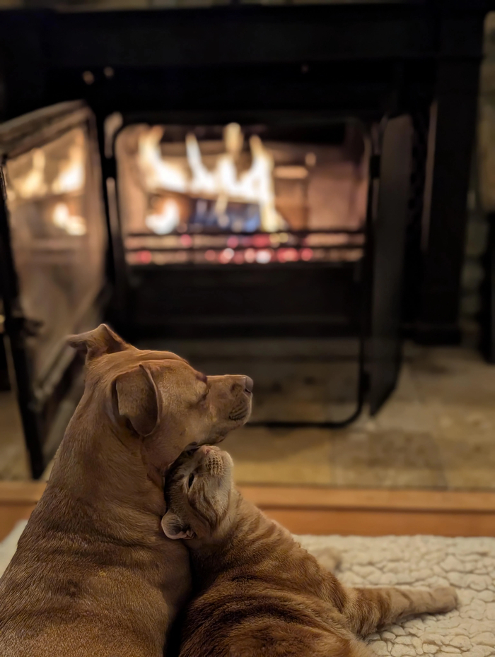 ����� � ������