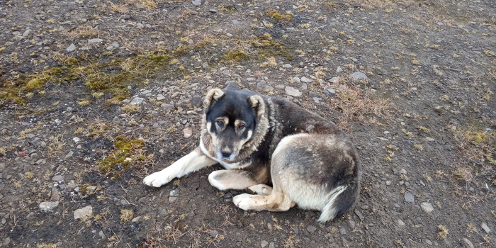 �����. � ���������, ���� � �������� ��� � ��������� ��������� �����������