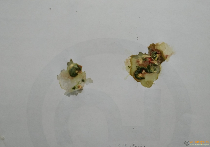 ������������ ������� � ���������������� ���������