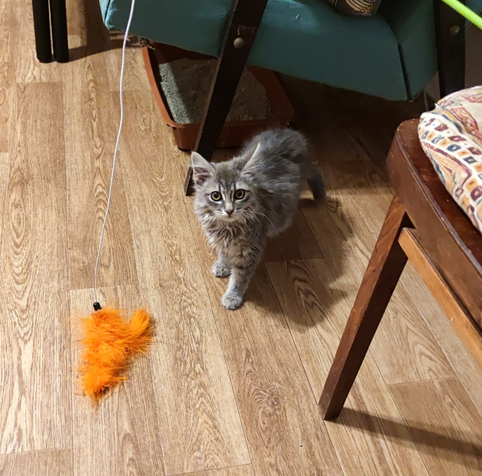 �������� � ���� � ������� ��������!