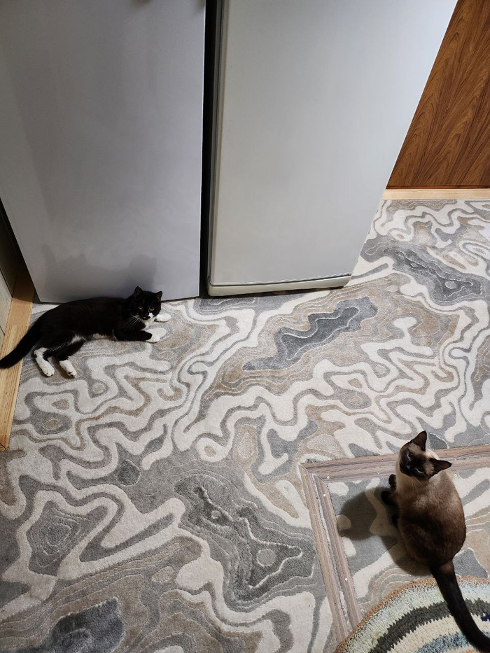 Ну открывайте холодильник, показывайте что есть.