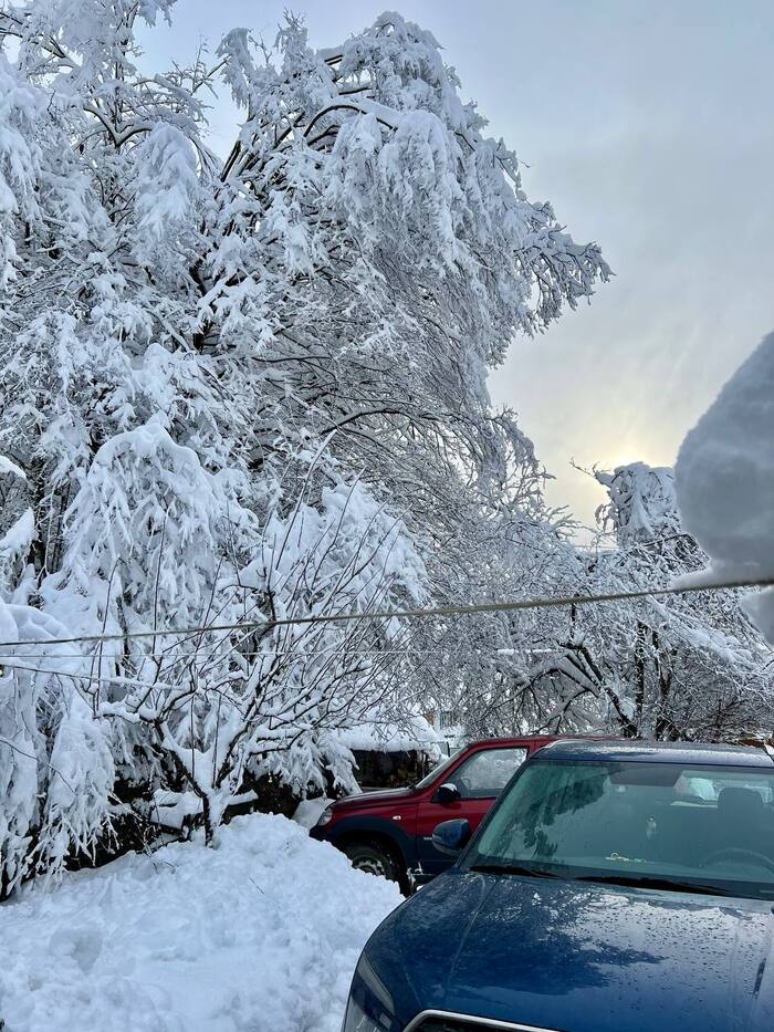 ��� ������� � �����