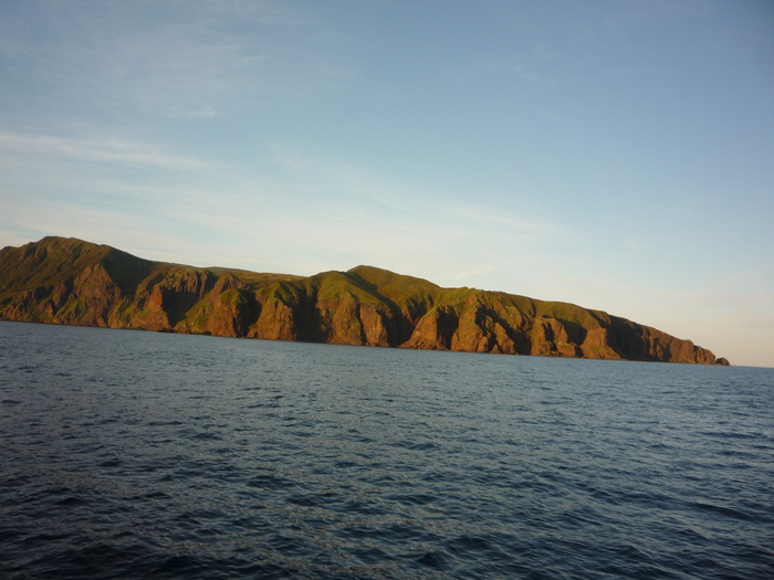 ����� �.�������, �������