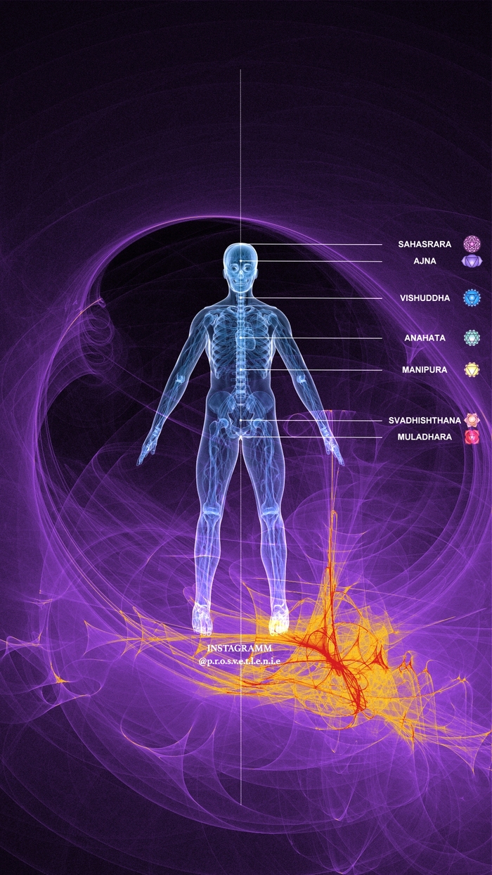 ������ ������������ ����������