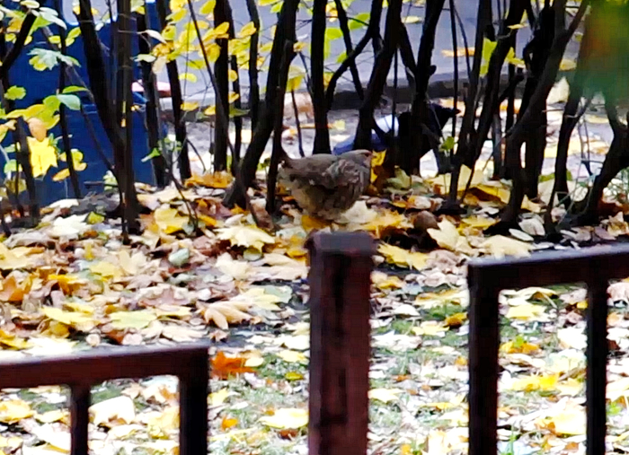 ��������� ���-�� �� �������� � ����� �������� ��� ��� � ���... �� ���� ��������� �������� � �� � ������. ���� � ���� ���� ��������� ����� ������...