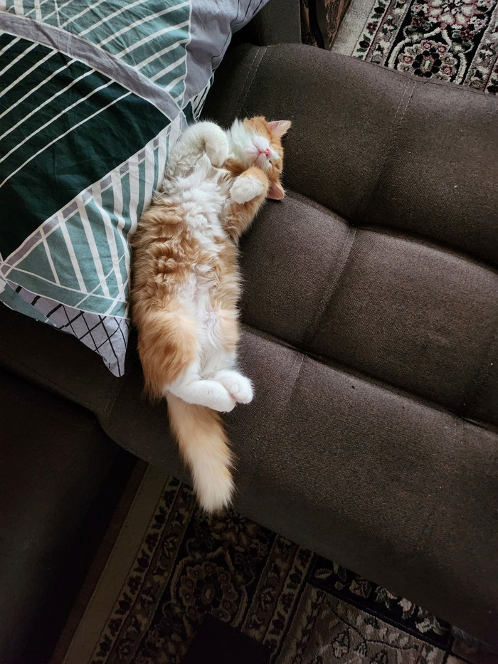 В гостях хорошо, а дома лучше!