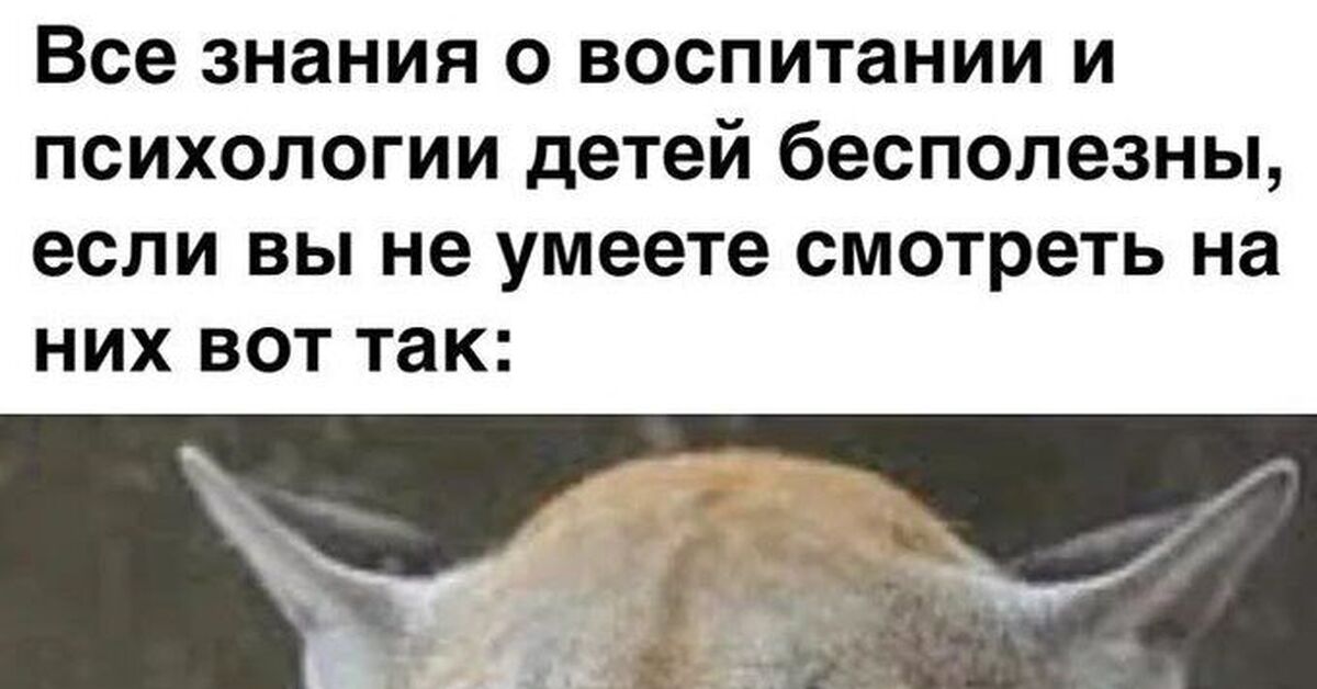 Посмотри Я вот какая Часть 2 - 13 фото Посмотри Я вот какая Часть 2 - 13 фото