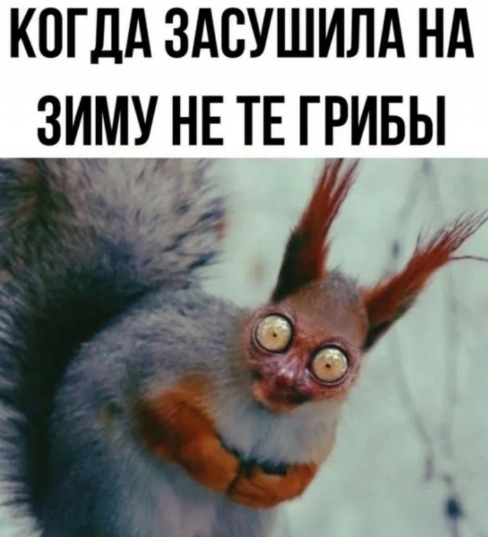 � ��� ���� ��� � ���� ������-�� ������ � ����� ���������!