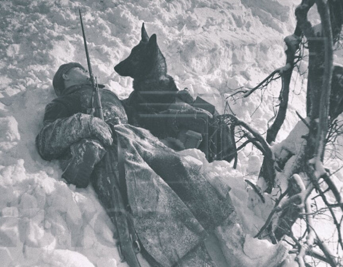 ������ �������