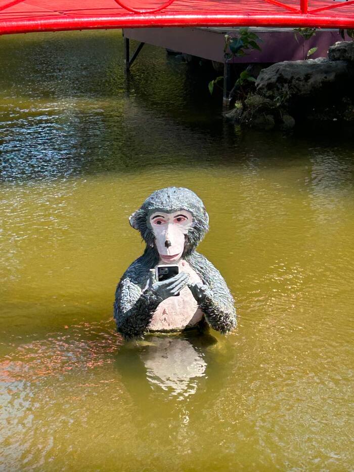 �, ������� �������� �� �������� � ������� ���� � �������