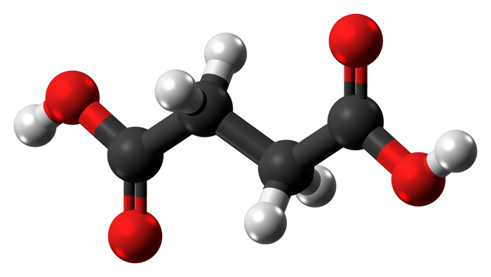 �������� ������� - ��������� � 2 ���������� - �������� �������