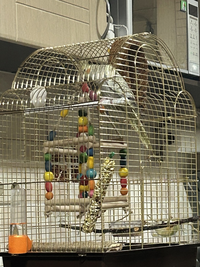 ��� �� � ����� ������� � ������� ������������ � ����� �������)