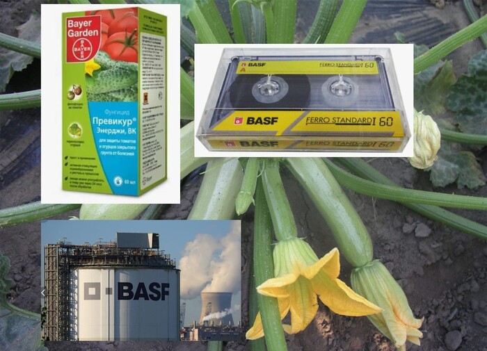 � ��� ��� BASF...