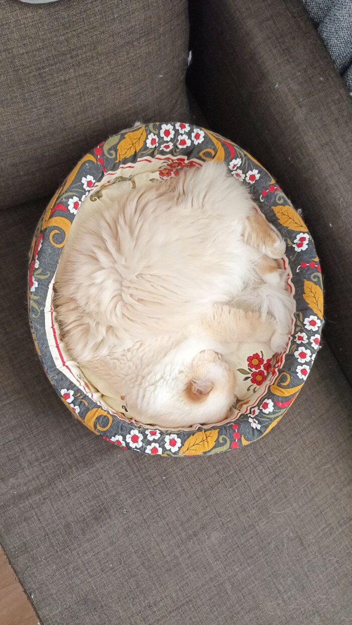 ��� � ����