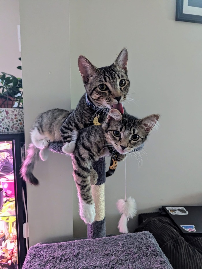 ���������