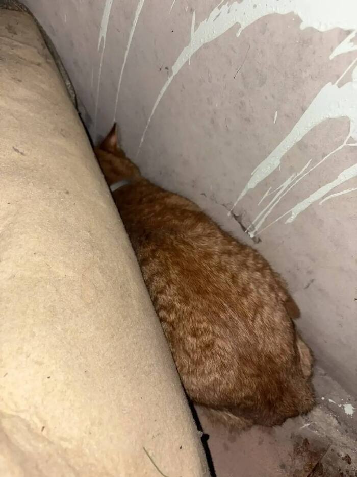 ������, �������� � �������. ��������� ���� �������� � ��������. �� ������� ����� ����� �� �����������. ���� ����� ������! ���� ��� ���������� ���������-������� ��� ������ +7 (916) 394-53-26 ���� 