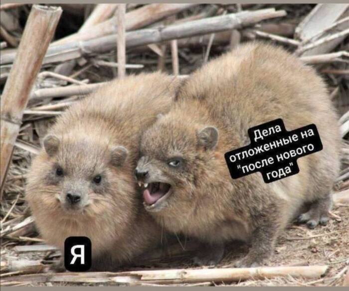 ����� ����������� �� ������ ��, �� ��� ����� ������ ��������?