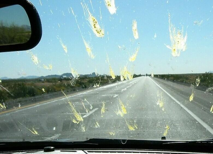 ����� �� ���� ���� ������