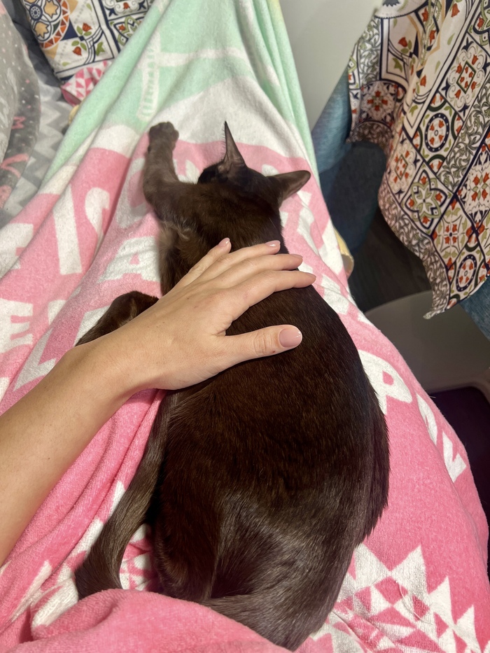 ��� ������������ �������� ��������