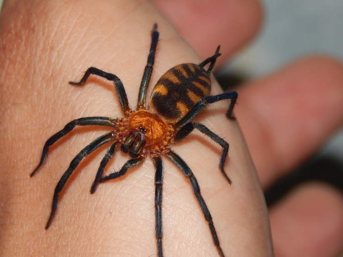 ���������� �6