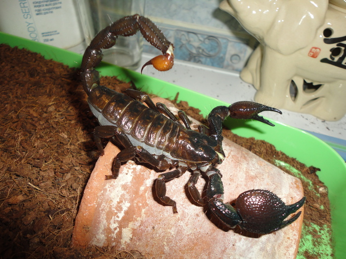 ��� ��, �11, ��� ���� ��������� � ������, ������� ����� ��������� ����� ����� ����������, ��� � �����. ��� �������, ����� ����� ���� ��������� ���� ������� �� ���������.