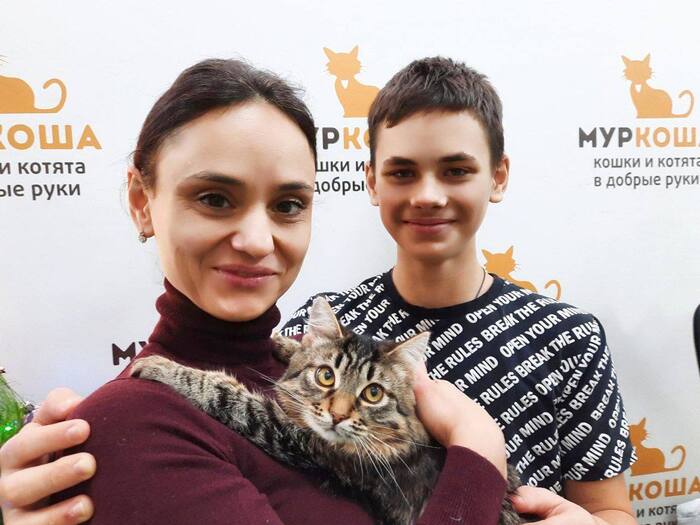 Котёнок-мальчик Малышарик уехал из приюта домой 30 декабря 2025 года.