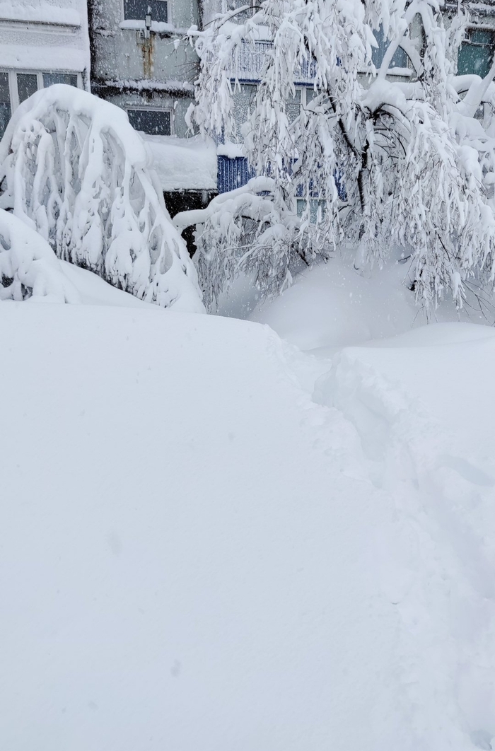 ���� � �������. � ������ ����� � ����� ���� �������