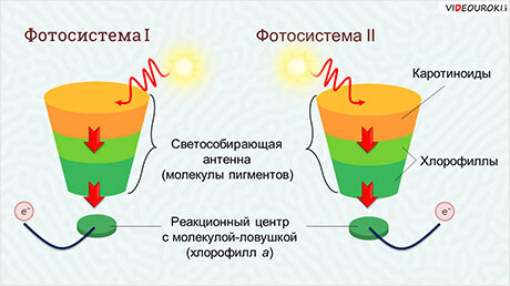 �������� ������� �� ������������ ����������� �