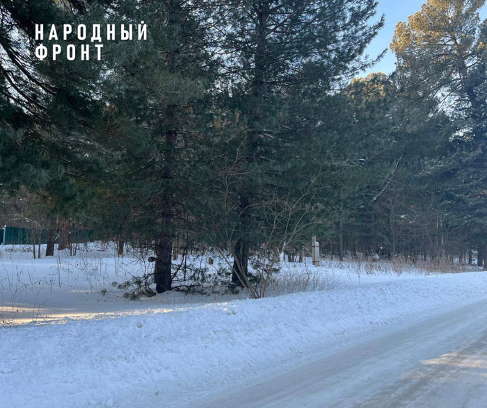 ��� ������ ����������� ��������� ��������� ������� ������