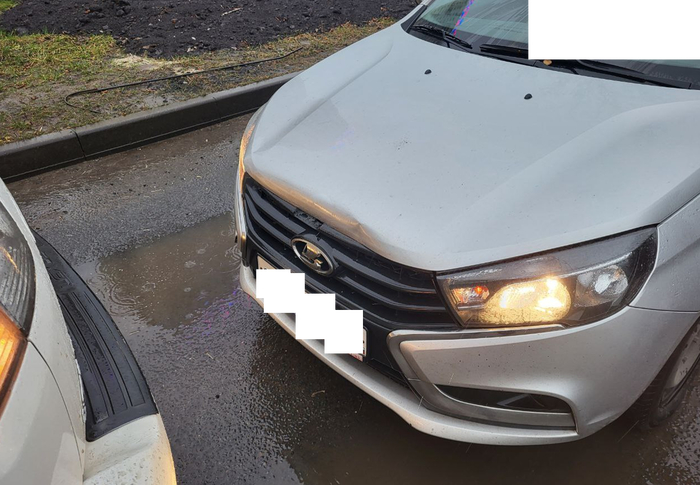 � ���� ����� �����, �������� ����������� �������