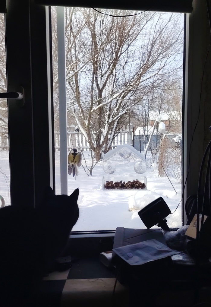 Кино про разведчиков