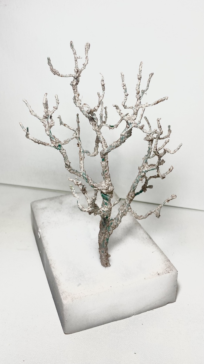 ��� ����� ���������� ����������