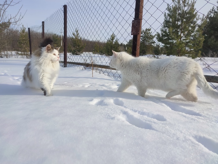 всем добра и не болейте! до скорых встреч на Пикабу!