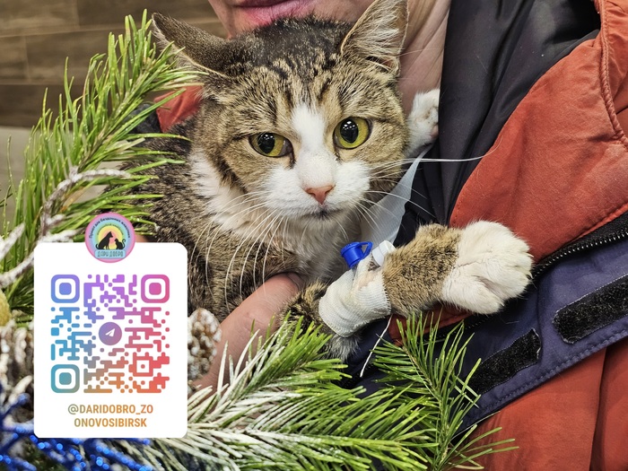 ���� ������� �� FIP � � ��� ������ . ������� ����������, �� ���� ������������� ��������. ��������� �������� GS. ������� ������� �� ������! ��������� ���� ������ ���� ��������, �� ����� �������� ���. ����� ����� �������!