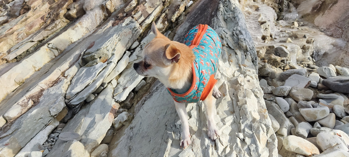 ��, ����������� ������ ��������, �� ���� ��� ����� �� ��� �� � �������.