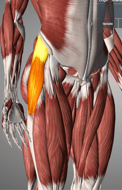 ����������� ������� ������ �����