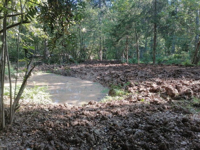 �� ������� ����� � ���� �� ����� ����� �������, � ����� ������ 20-30 �� ���