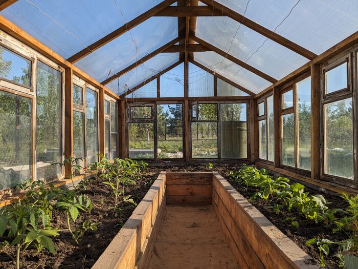 ���.....�����)