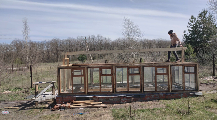 - ����� �����? ��� ��������!