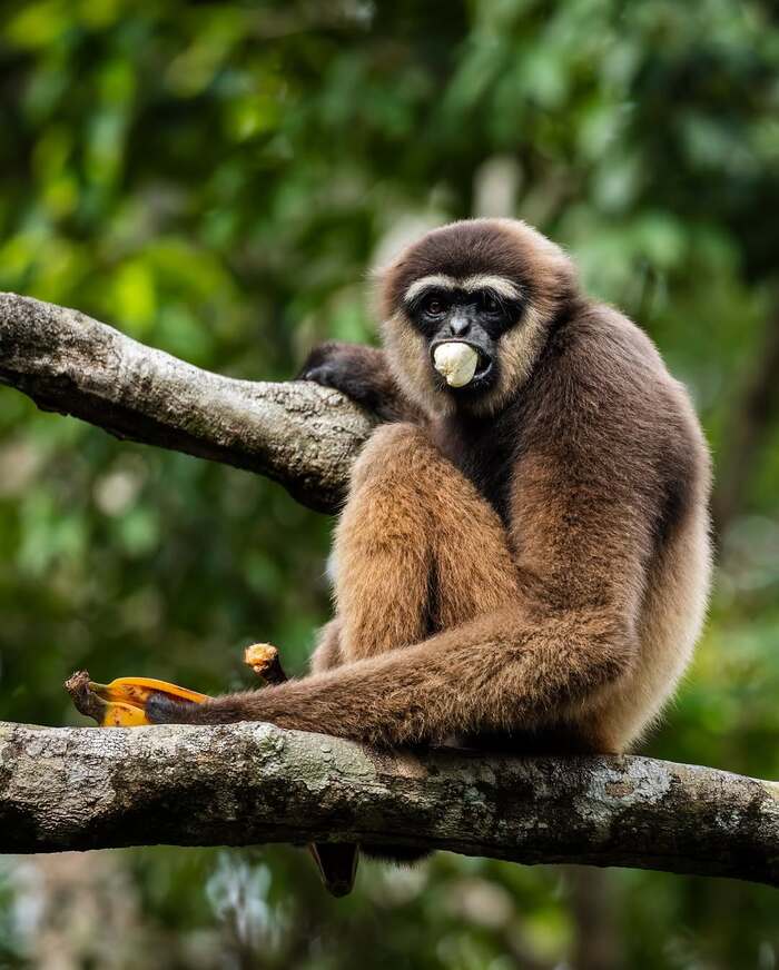 ������������ ���� �������������, ���������.�������� ������ �������.