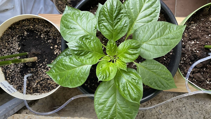 �� ������ �������� �� ��������� �����!