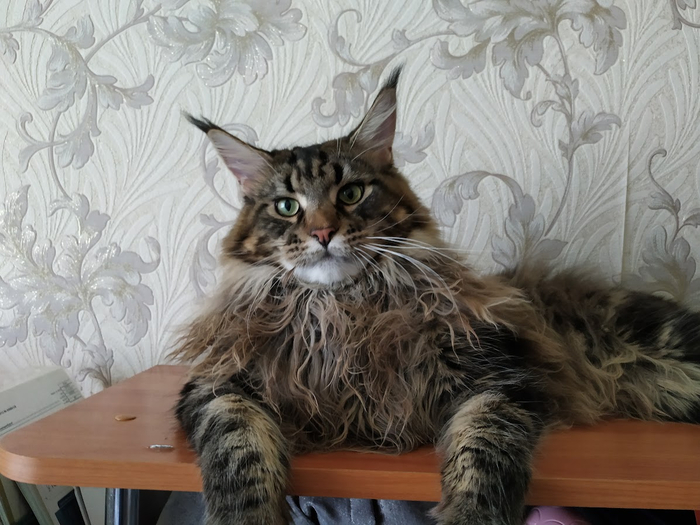 ����� �� ���� �� ��� ��� ������ ���� ����� ����)�